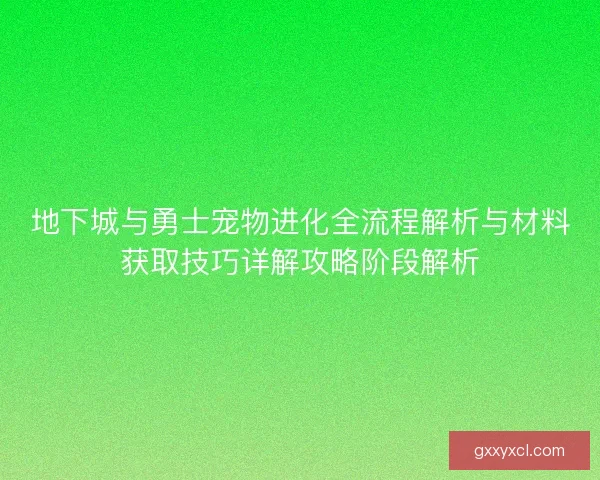 地下城与勇士宠物进化全流程解析与材料获取技巧详解攻略阶段解析 地下城与勇士宠物进化全流程解析与材料获取技巧详解攻略阶段解析