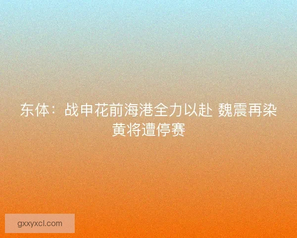 东体：战申花前海港全力以赴 魏震再染黄将遭停赛