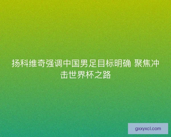 扬科维奇强调中国男足目标明确 聚焦冲击世界杯之路 扬科维奇强调中国男足目标明确 聚焦冲击世界杯之路